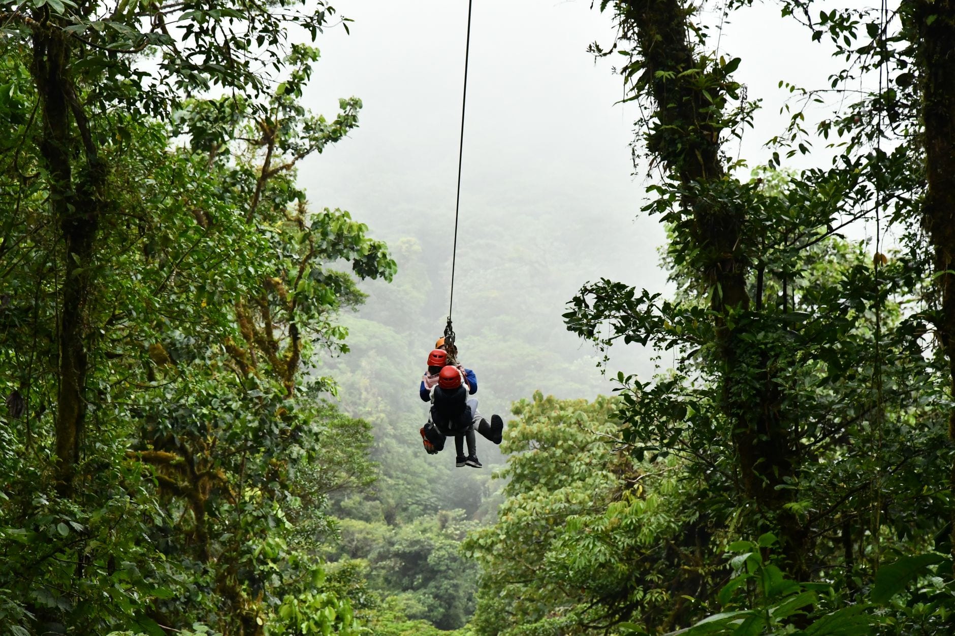 Zip-liner crossing a misty forest canopy in Monteverde