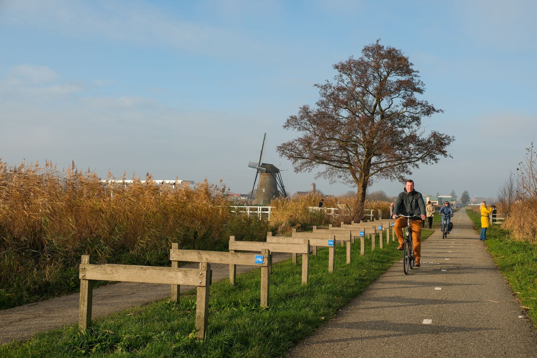 Cyclists on a quiet path beside reeds and a windmill