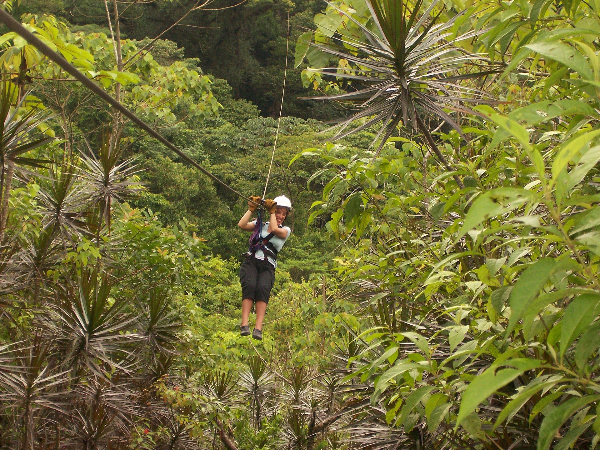 Zip-lining the cloud forest, Monteverde, Costa Rica