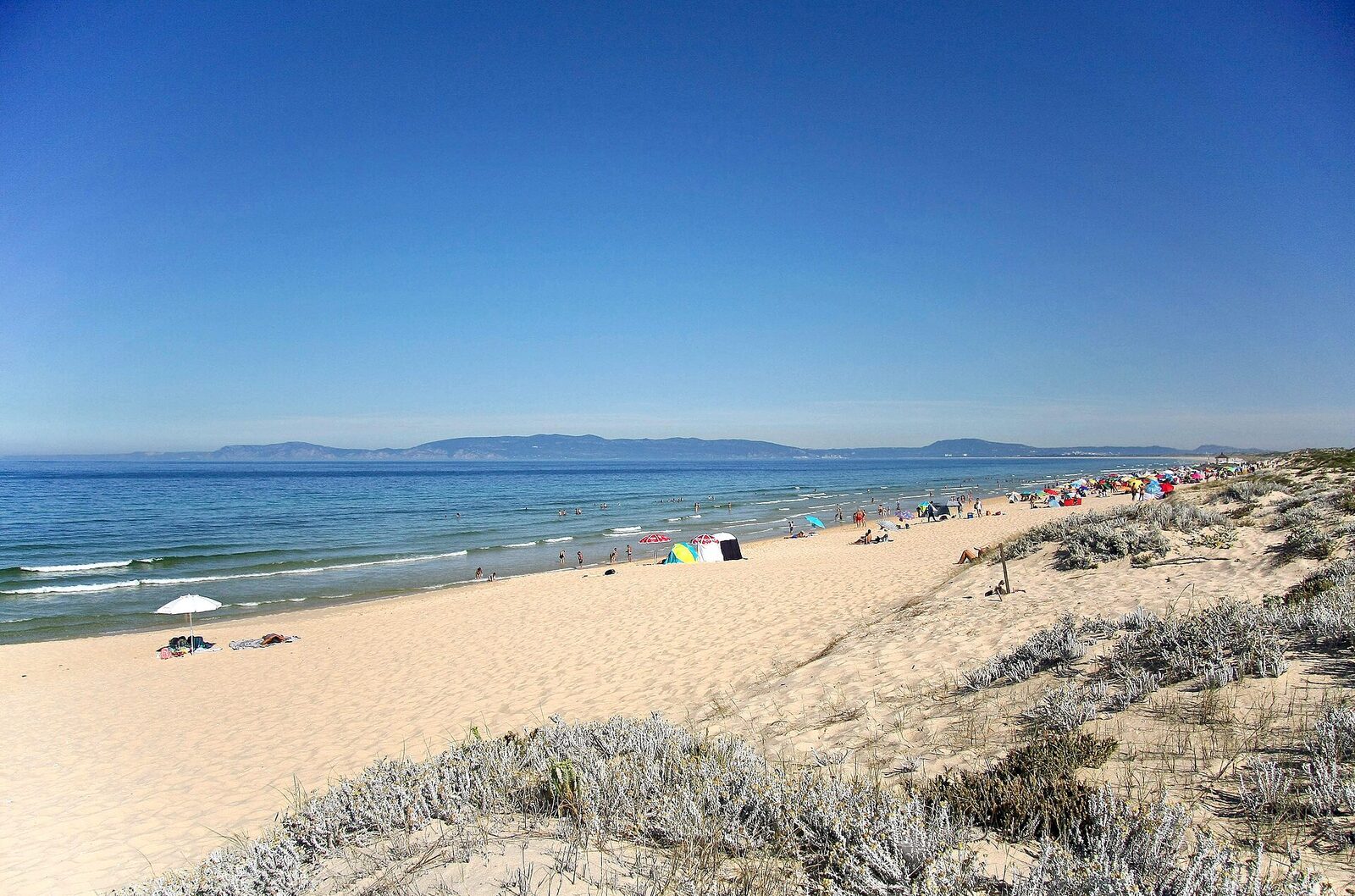 Spatia Comporta