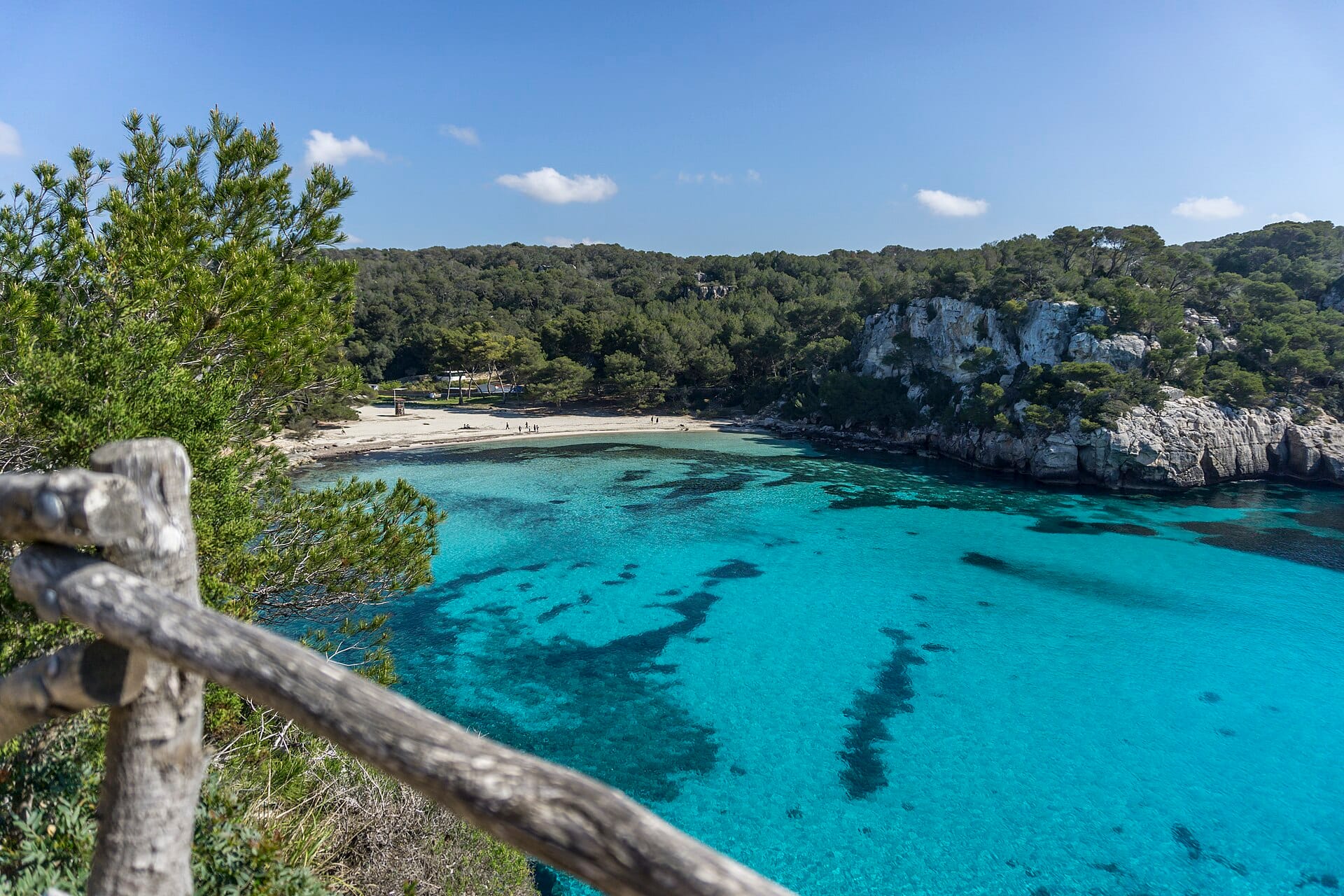 Cala Macarella, Menorca — a pine-backed limestone cove over clear turquoise water