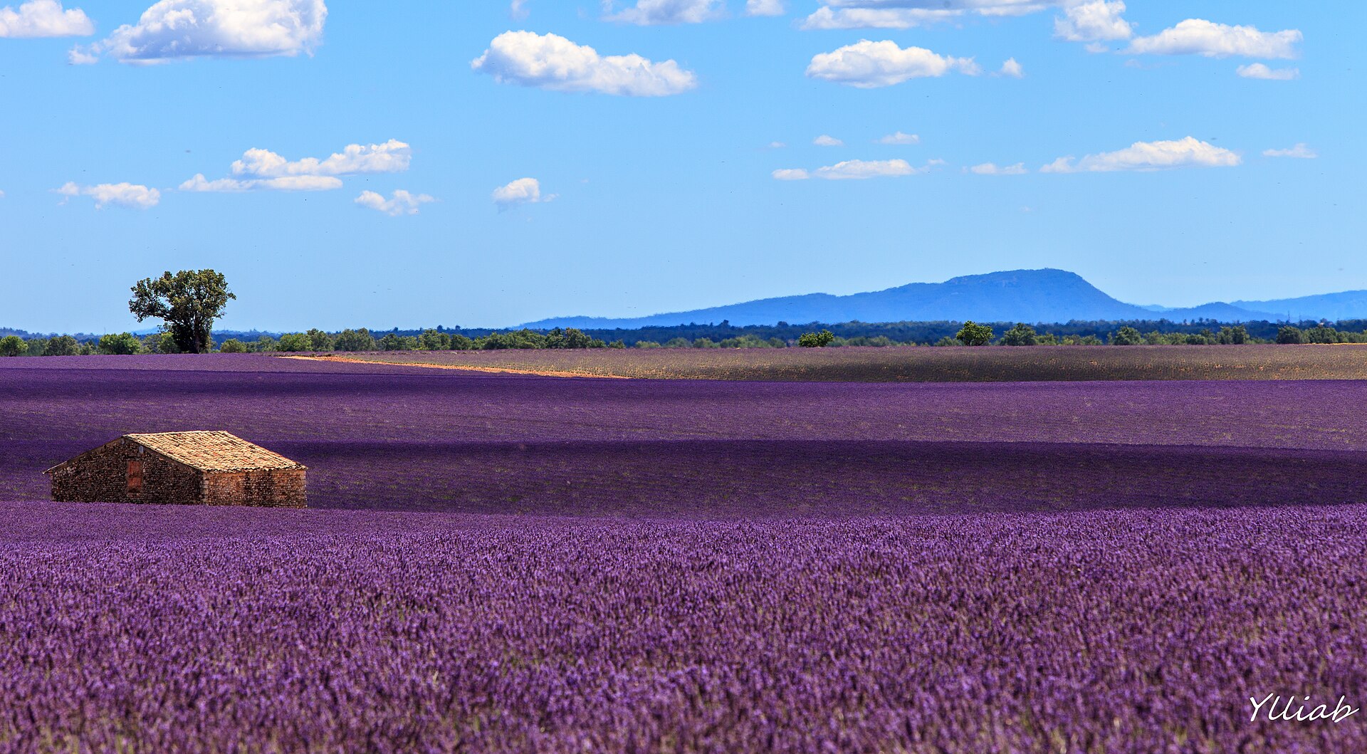 Provence, France