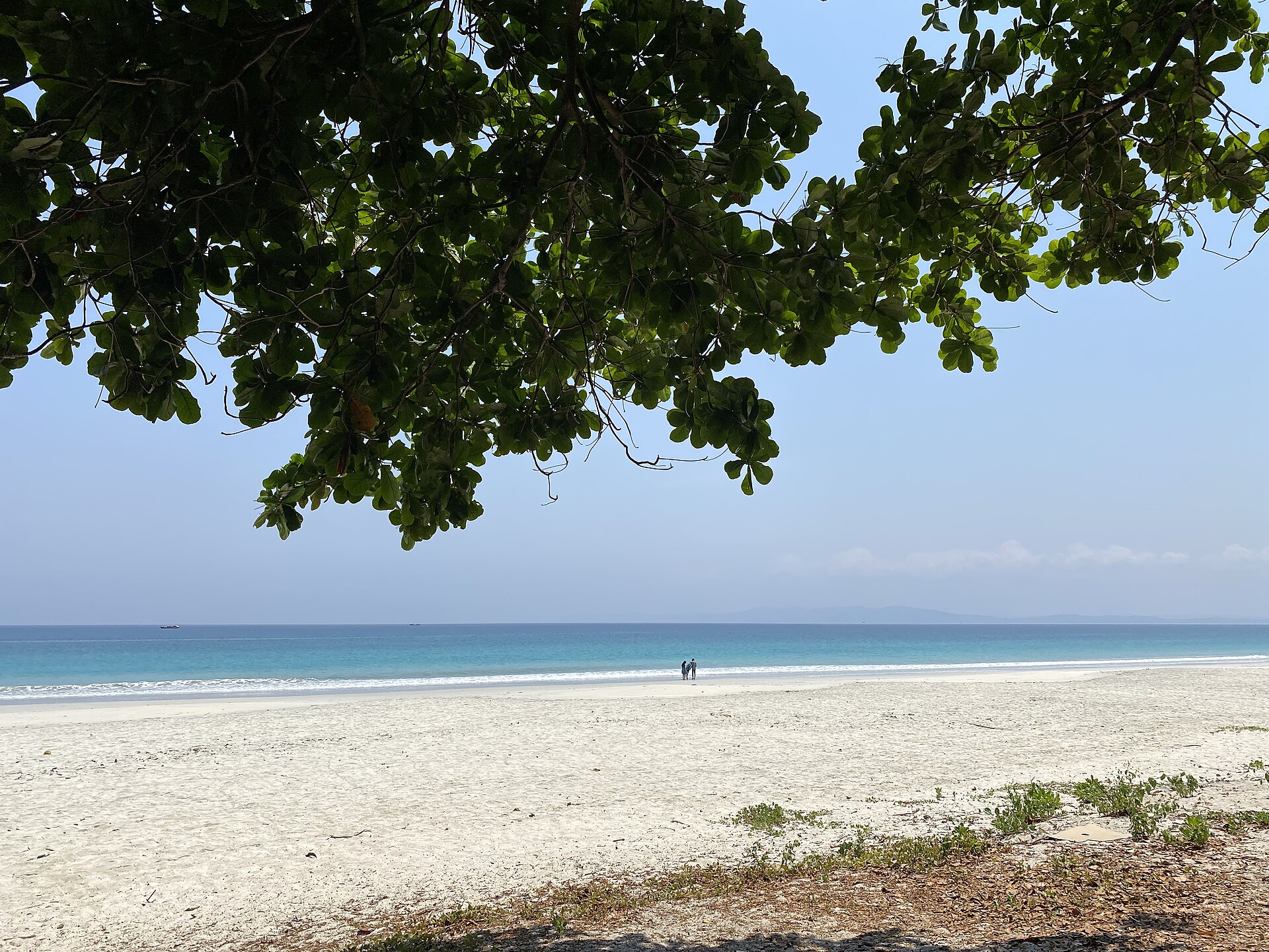 Havelock Island, Andaman Islands, India