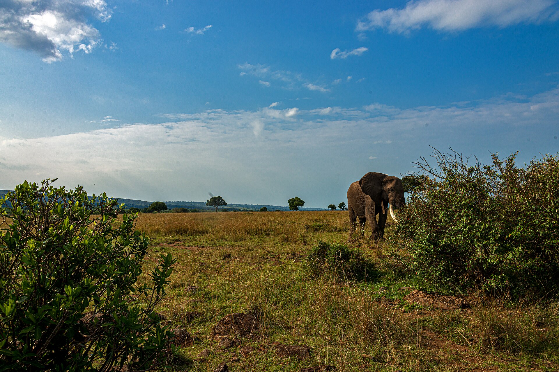 Ten wildlife holidays that beat any screen