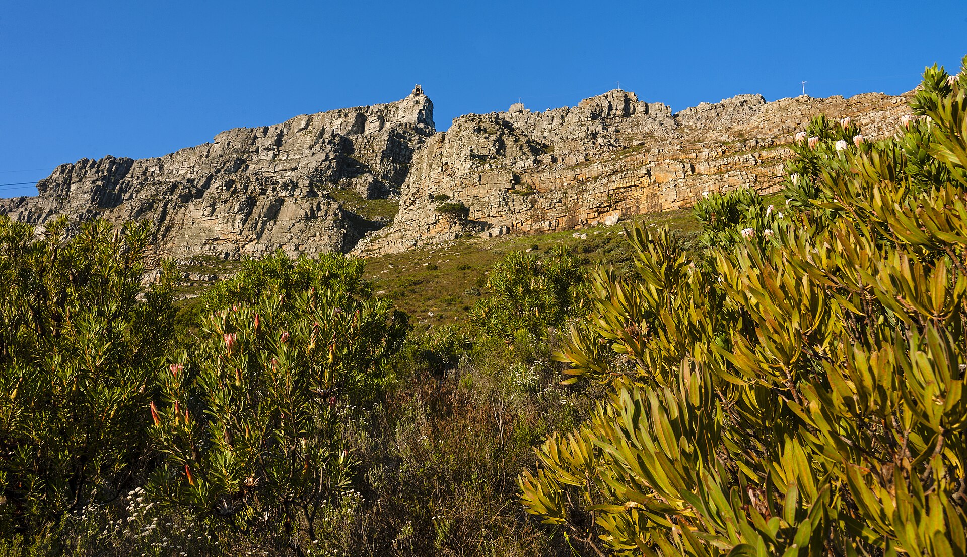 Abseiling Table Mountain, Cape Town, South Africa