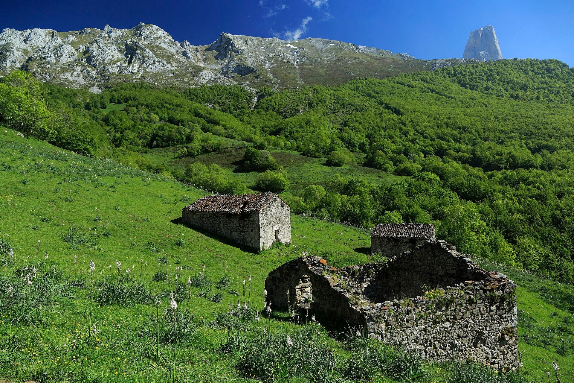 Picos de Europa, Spain