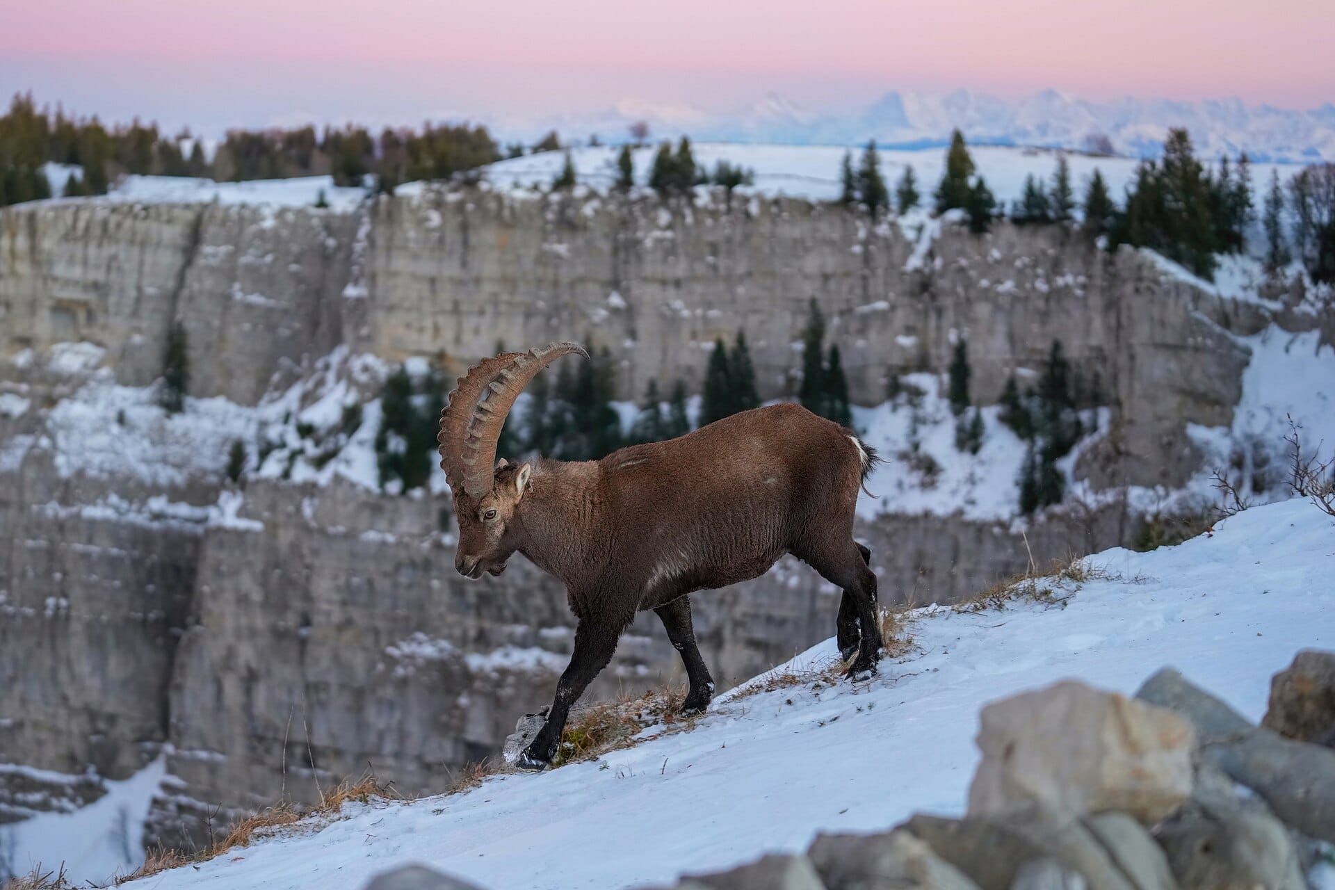 Ten national parks for your first proper trek