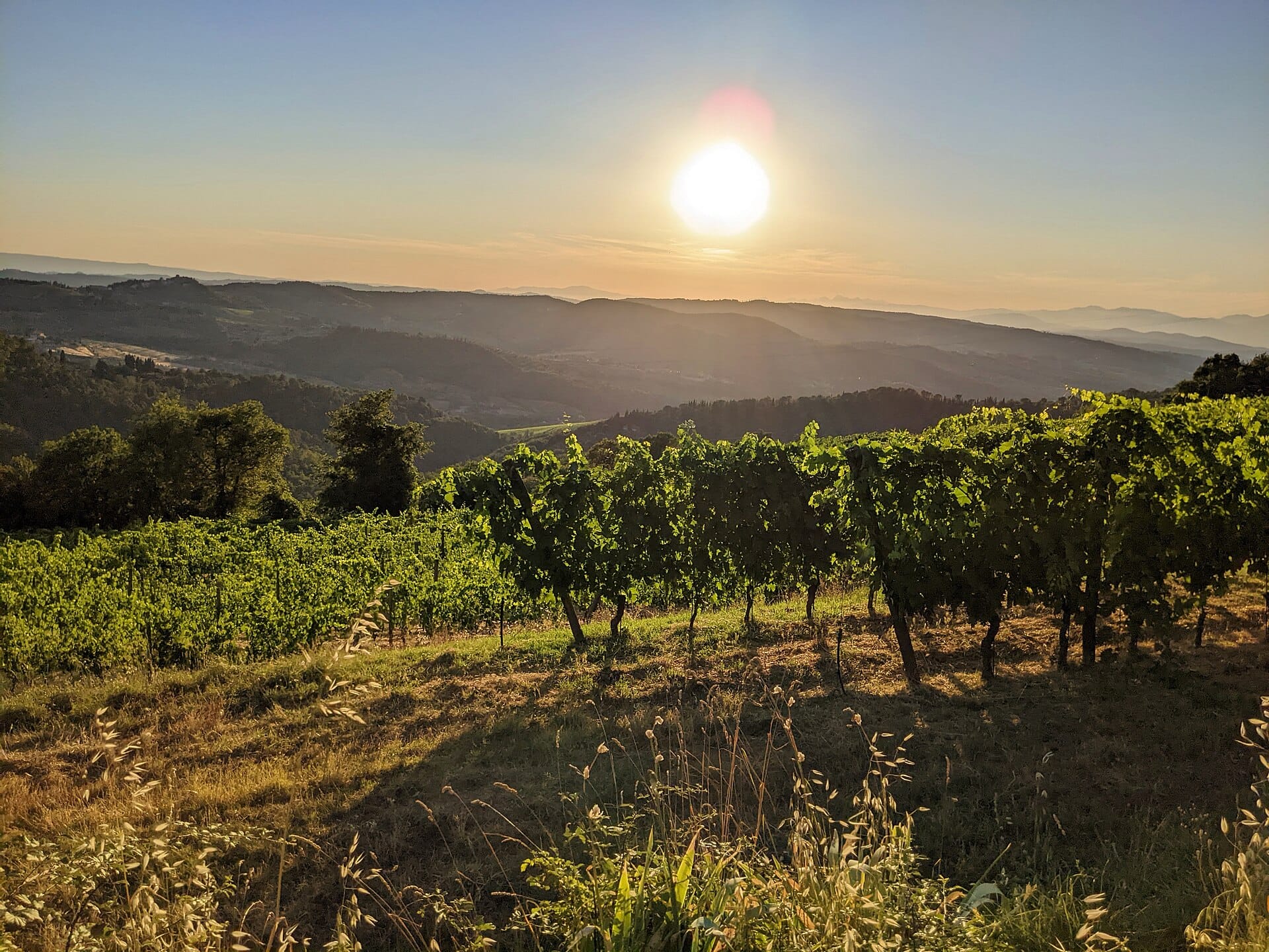 Ten vineyard escapes for lovers of a long lunch